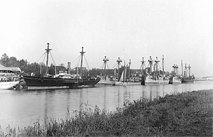 Paddle flotilla aviso Vigilant