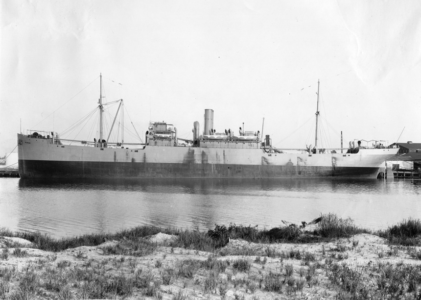 S.S. Wilscox (Design 1027)