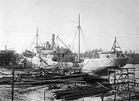 S.S. Basco (Design 1001)