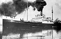 S.S. Bromela (Design 1005)