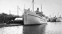 S.S. Brookhaven (Design 1005)