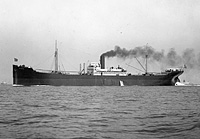 S.S. Hayden (Design 1015)