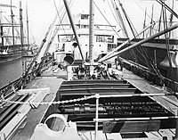 S.S. West Cactus (Design 1019)