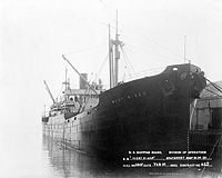 S.S. West Niger (Design 1019)