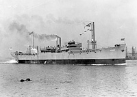 S.S. Aledo (As Design 1063)