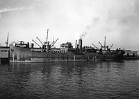 S.S. Aledo (Design 1063)