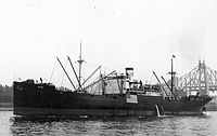 S.S. Malang, ex Eastern Leader (Design 1119)