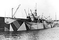 S.S. Lake Borgne (Design 1020 precursor)