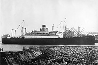 S.S. Pan America (Design 1029)