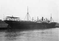 S.S. Steadfast (Design 1032)