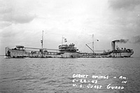 S.S. Garnet Hulings (Design 1041)