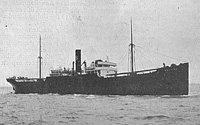 S.S. Delfina (Design 1043)