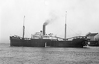 S.S. Medon (Design 1043-B)