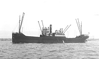 S.S. Cornucopia (Design 1044)