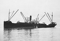 S.S. Lurline Burns, ex S.S. Caddopeak (Design  1049)
