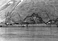 S.S. Cadaretta (Design 1049)