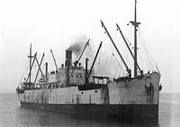 S.S. Stureborg ex Cadaretta (Design 1049)