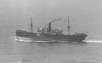 S.S. Domino (Design 1094)