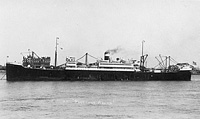 S.S. President Adams (Design 1095)