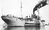S.S. Detroit Wayne (Design 1099)