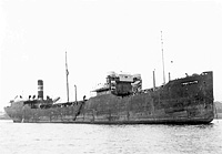 S.S. Trontolite