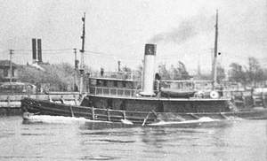Narkeeta