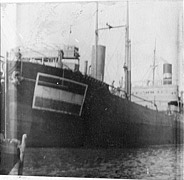Photo #  NH 105224:  S.S. Mercurius, later USS Mercurius (ID # 2516) circa March 1918