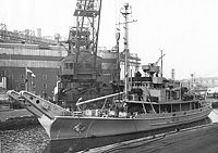 Dutch Cerberus (AN 93) on 19 November 1952