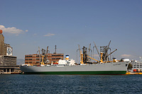 SS Arthur M Huddell on 8 June 2010